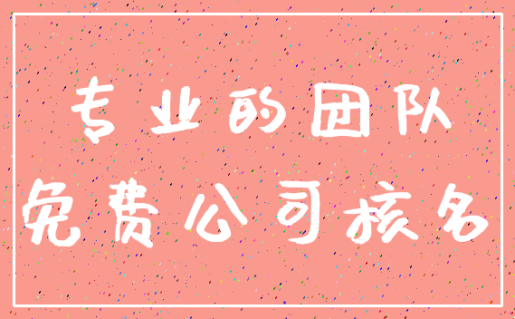 专业的团队_免费公司核名