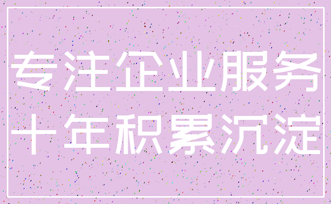 专注企业服务_十年积累沉淀