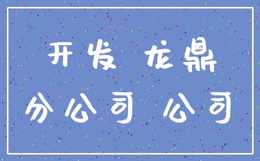 开发 龙鼎_分公司 公司