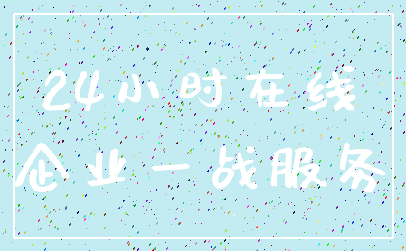 24小时在线_企业一战服务