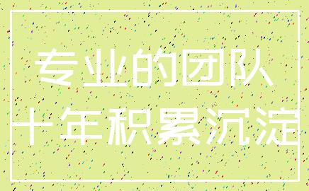 专业的团队_十年积累沉淀