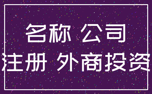 名称 公司_注册 外商投资