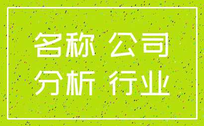 名称 公司_分析 行业