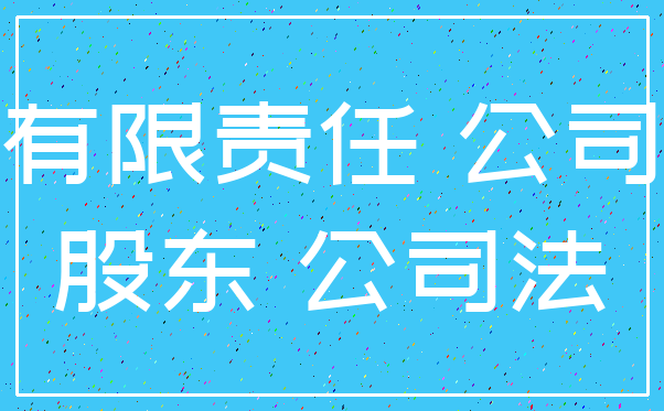 有限责任 公司_股东 公司法