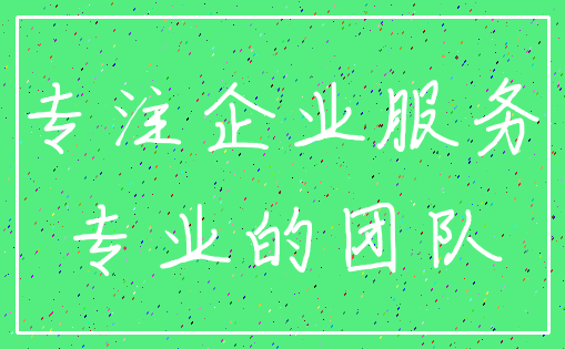 专注企业服务_专业的团队