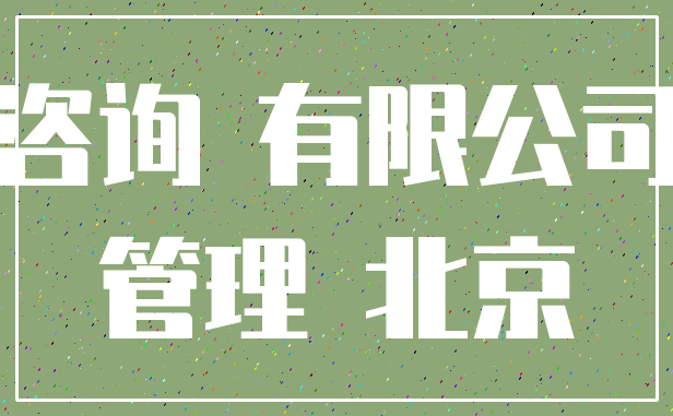咨询 有限公司_管理 北京