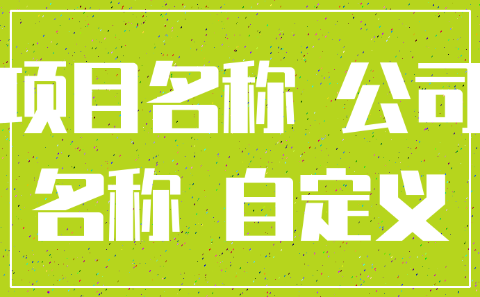 项目名称 公司_名称 自定义