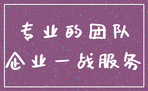 专业的团队_企业一战服务