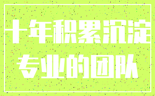 十年积累沉淀_专业的团队