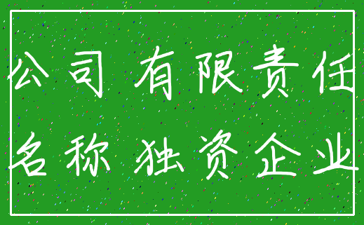 公司 有限责任_名称 独资企业