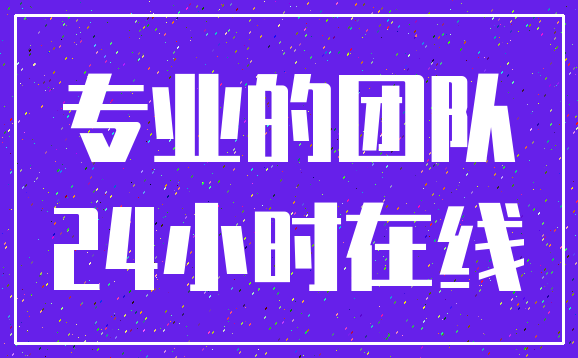 专业的团队_24小时在线