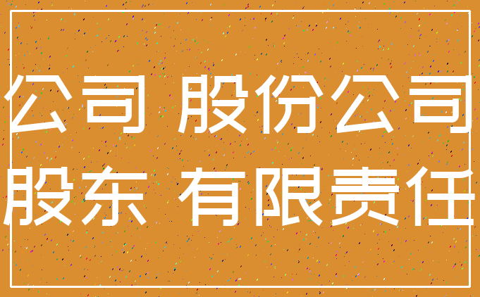 公司 股份公司_股东 有限责任
