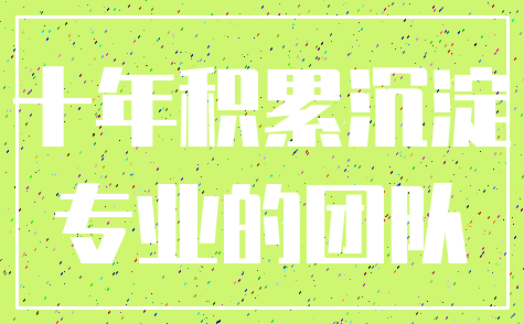十年积累沉淀_专业的团队