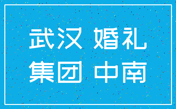 武汉 婚礼_集团 中南