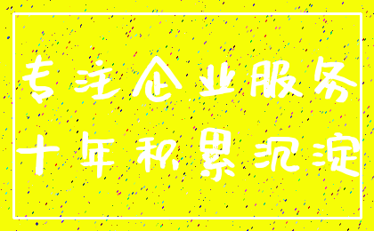 专注企业服务_十年积累沉淀