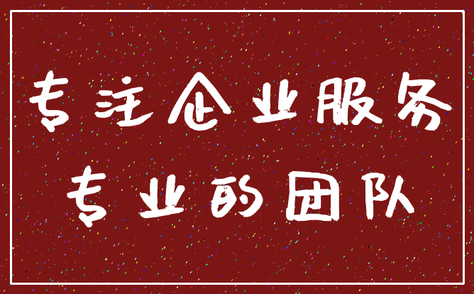 专注企业服务_专业的团队
