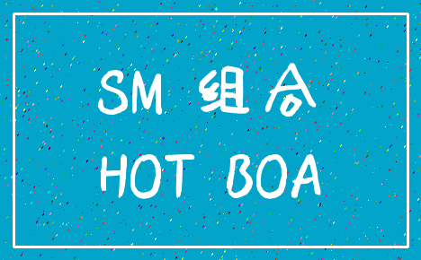 SM 组合_HOT BOA