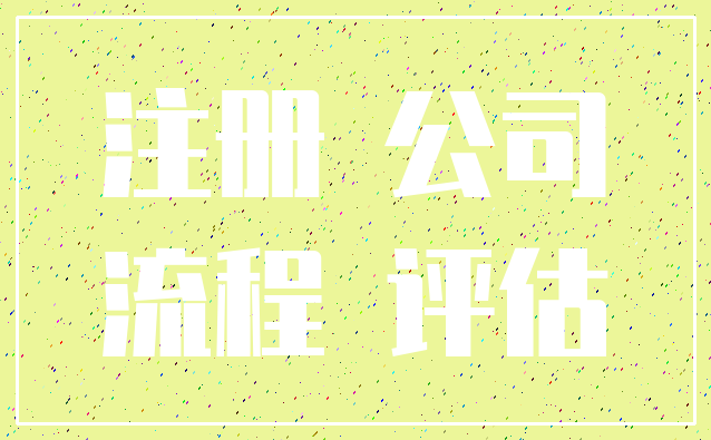 注册 公司_流程 评估