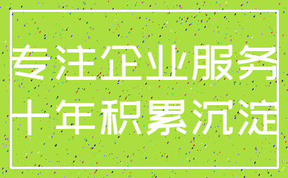 专注企业服务_十年积累沉淀