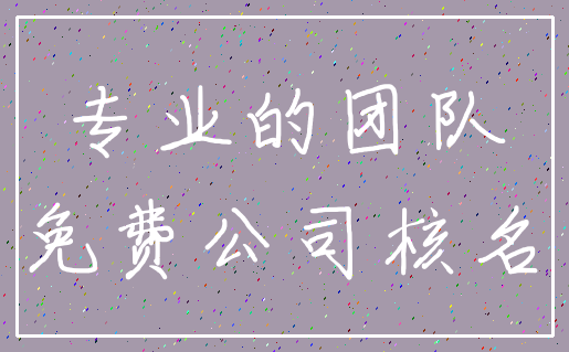 专业的团队_免费公司核名