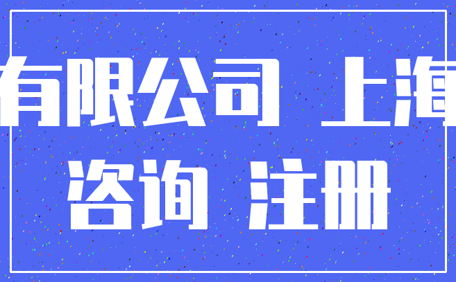 有限公司 上海_咨询 注册