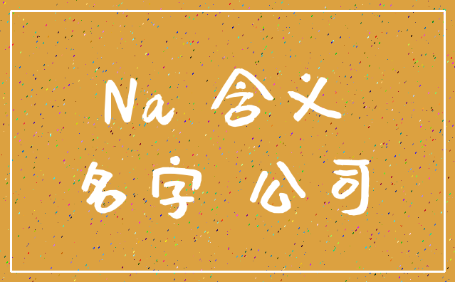 Na 含义_名字 公司
