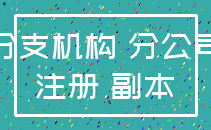 分支机构 分公司_注册 副本
