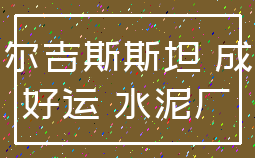 吉尔吉斯斯坦 成功_好运 水泥厂