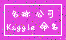 名称 公司_Kaggle 命名