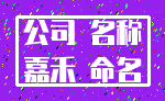 公司 名称_嘉禾 命名