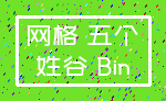 网格 五个_姓谷 Bin