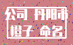 公司 丹阳市_橙子 命名