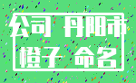 公司 丹阳市_橙子 命名