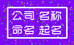 公司 名称_命名 起名