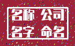 名称 公司_名字 命名