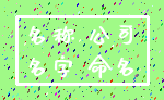 名称 公司_名字 命名