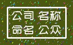 公司 名称_命名 公众