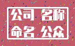 公司 名称_命名 公众