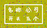 名称 公司_开头 五个