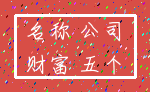 名称 公司_财富 五个