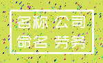 名称 公司_命名 劳务