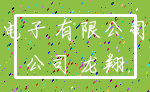 电子 有限公司_公司 龙翔