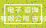 电子 咨询_有限公司 吉利