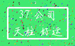 37 公司_天柱 好运
