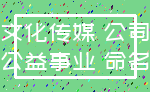 文化传媒 公司_公益事业 命名