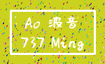 Ao 波音_737 Ming