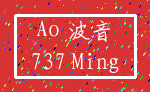 Ao 波音_737 Ming
