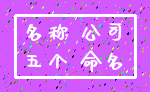 名称 公司_五个 命名