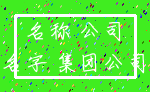 名称 公司_名字 集团公司