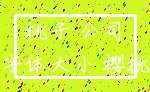 桃子 公司_字体大小 樱桃